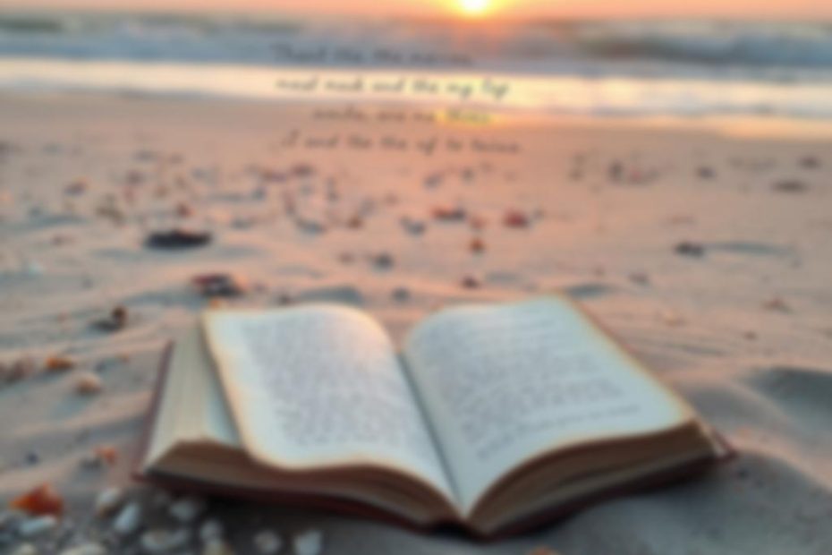 Frases do Livro Catadores de Conchas